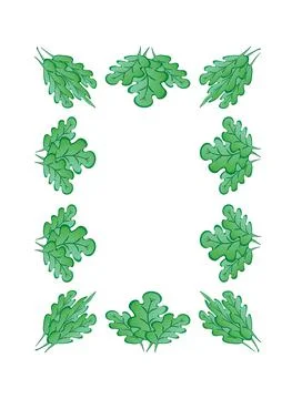 Frames of green oak leaves on a white sheet of A4 format, pastiche, graphics  Stock Illustration