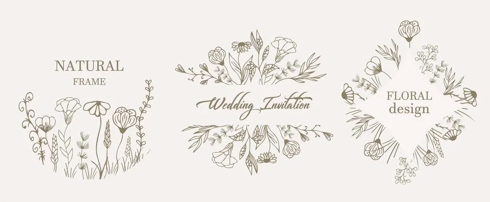 Frames, hand-drawn wreaths with elements of grass, field decorative flowers.. Illustrazione stock