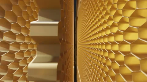 Frames of honeycombs in a bee hive Vidéo 171681314