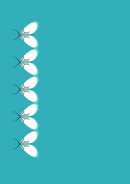 Frames of moths. Design element for the design of books, notebooks, postcards Stock Illustration