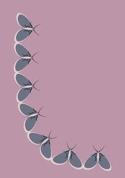 Frames of moths. Design element for the design of books, notebooks, postcards Stock Illustration