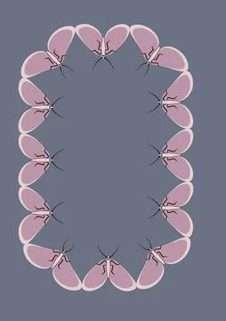 Frames of moths. Design element for the design of books, notebooks, postcards Stock Illustration