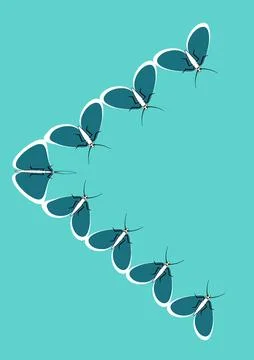 Frames of moths. Design element for the design of books, notebooks, postcards Illustrazione stock