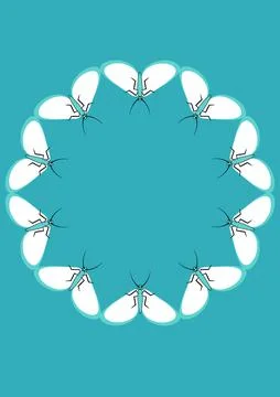 Frames of moths. Design element for the design of books, notebooks, postcards Illustrazione stock
