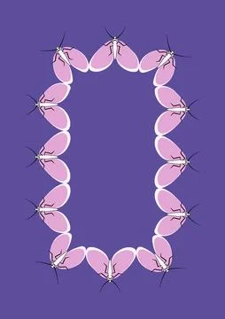 Frames of moths. Design element for the design of books, notebooks, postcards Stock Illustration
