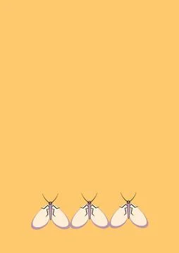 Frames of moths. Design element for the design of books, notebooks, postcards Stock Illustration