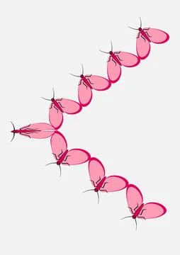 Frames of moths. Design element for the design of books, notebooks, postcards Stock Illustration