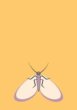 Frames of moths. Design element for the design of books, notebooks, postcards Illustrazione stock