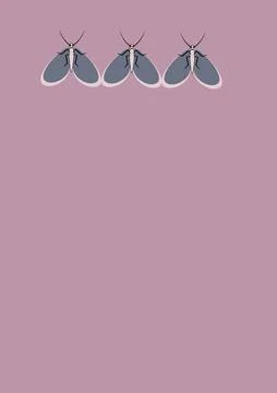Frames of moths. Design element for the design of books, notebooks, postcards Stock Illustration