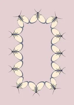 Frames of moths. Design element for the design of books, notebooks, postcards Stock Illustration