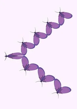 Frames of moths. Design element for the design of books, notebooks, postcards イラスト素材