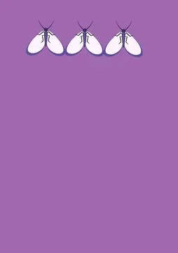 Frames of moths. Design element for the design of books, notebooks, postcards Stock Illustration