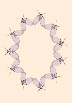 Frames of moths. Design element for the design of books, notebooks, postcards イラスト素材