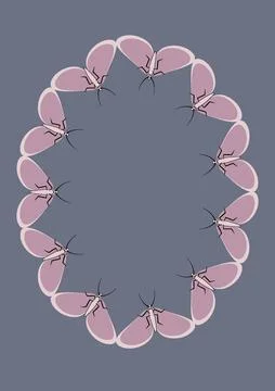 Frames of moths. Design element for the design of books, notebooks, postcards Stock Illustration