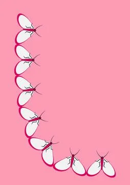 Frames of moths. Design element for the design of books, notebooks, postcards Stock Illustration