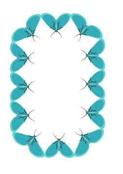 Frames of moths. Design element for the design of books, notebooks, postcards Stockillustratie