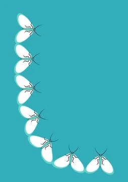 Frames of moths. Design element for the design of books, notebooks, postcards イラスト素材