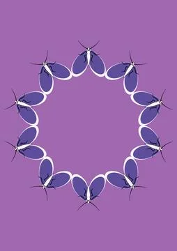Frames of moths. Design element for the design of books, notebooks, postcards Stock Illustration