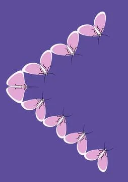 Frames of moths. Design element for the design of books, notebooks, postcards 스톡 일러스트