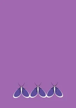 Frames of moths. Design element for the design of books, notebooks, postcards Stock Illustration