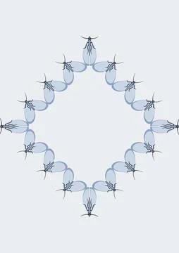 Frames of moths. Design element for the design of books, notebooks, postcards Stock Illustration