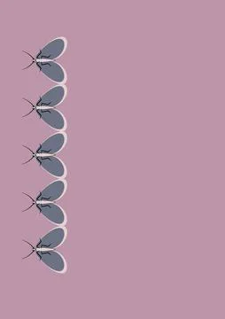 Frames of moths. Design element for the design of books, notebooks, postcards Stock Illustration