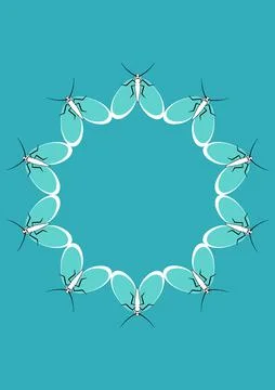Frames of moths. Design element for the design of books, notebooks, postcards Stock Illustration