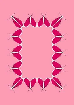Frames of moths. Design element for the design of books, notebooks, postcards Stock Illustration