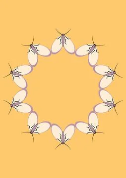 Frames of moths. Design element for the design of books, notebooks, postcards 스톡 일러스트