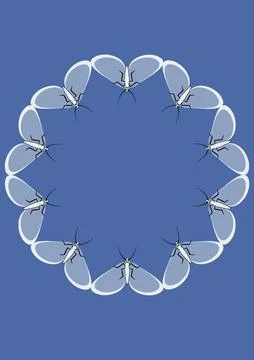 Frames of moths. Design element for the design of books, notebooks, postcards イラスト素材