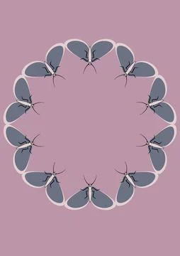 Frames of moths. Design element for the design of books, notebooks, postcards イラスト素材