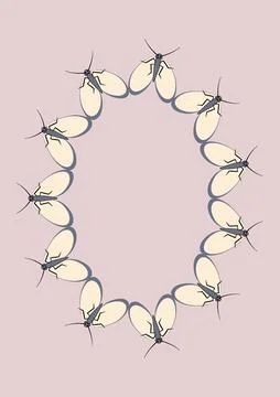 Frames of moths. Design element for the design of books, notebooks, postcards Stock Illustration