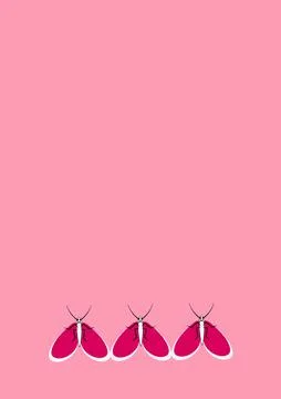 Frames of moths. Design element for the design of books, notebooks, postcards イラスト素材