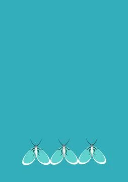 Frames of moths. Design element for the design of books, notebooks, postcards イラスト素材