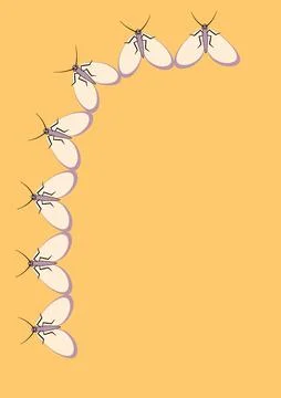 Frames of moths. Design element for the design of books, notebooks, postcards イラスト素材