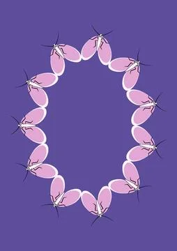 Frames of moths. Design element for the design of books, notebooks, postcards Stock Illustration