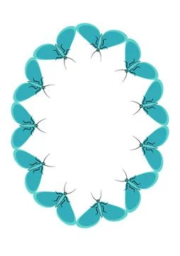 Frames of moths. Design element for the design of books, notebooks, postcards 스톡 일러스트