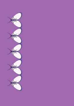 Frames of moths. Design element for the design of books, notebooks, postcards Stock Illustration