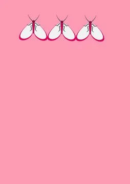 Frames of moths. Design element for the design of books, notebooks, postcards Stock Illustration