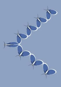 Frames of moths. Design element for the design of books, notebooks, postcards Stock Illustration