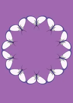 Frames of moths. Design element for the design of books, notebooks, postcards イラスト素材