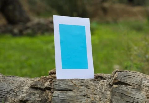 Frames of paper on the fallen palm trunk Stock Photos