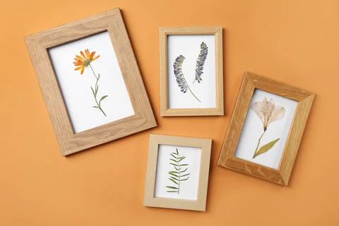 Frames with pressed dried flowers and plant leaf on orange background. Beauti Stock Photos