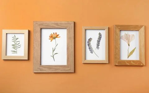 Frames with pressed dried flowers and plant leaf on orange background. Beauti Stock Photos