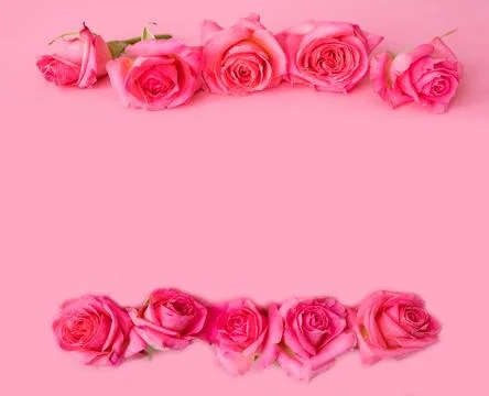 Frames of roses on a white background. The apartment lay. Foto stock
