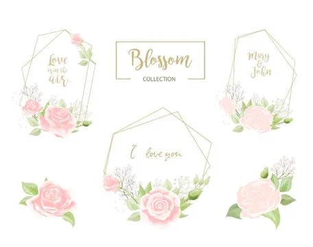 The frames set with elegant wild pink roses for Spring Season greeting postcard Illustration