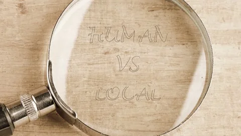 The frames show a comparison between human traits and local customs using a Stock Footage 336841060