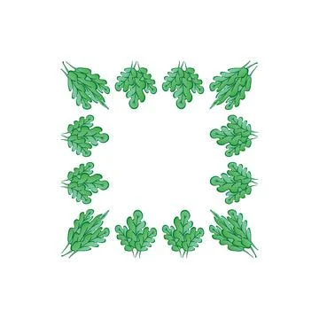 Frames on a square background - stylized green oak leaves, plants - graphics. Stock Illustration