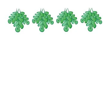 Frames on a square background - stylized green oak leaves, plants - graphics. Stock Illustration