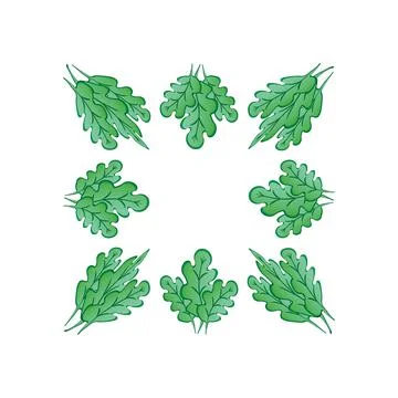 Frames on a square background - stylized green oak leaves, plants - graphics. Stock Illustration
